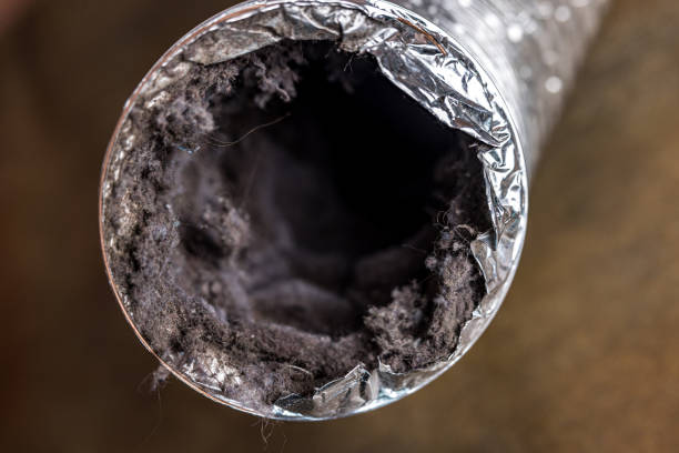 Best Duct Cleaning for Homes  in Brookside, NJ